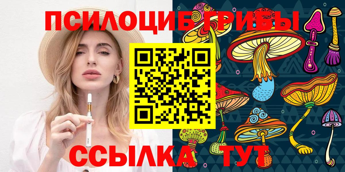 Касимов  Галлюциногенные грибы Magic Shrooms  Вход с VPN 