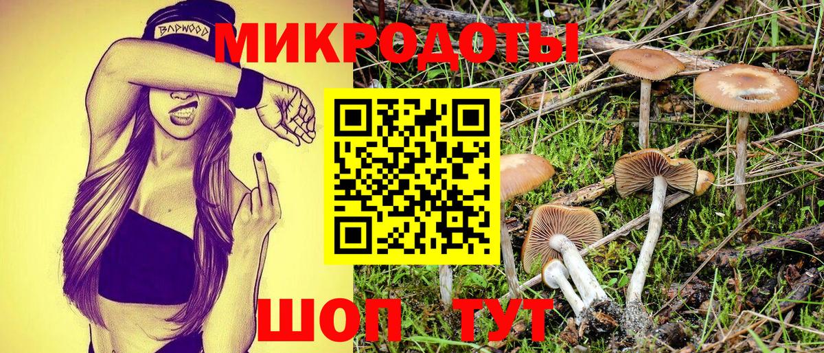 Псилоцибиновые грибы MAGIC MUSHROOMS Касимов